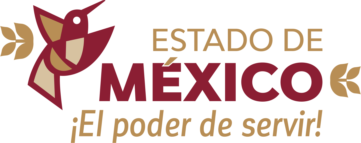 Logo Joquicingo
