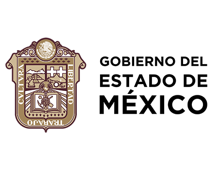 Logo Joquicingo