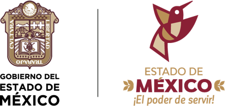 Escudo de Joquicingo